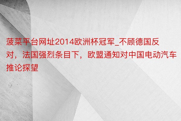 菠菜平台网址2014欧洲杯冠军_不顾德国反对，法国强烈条目下，欧盟通知对中国电动汽车推论探望