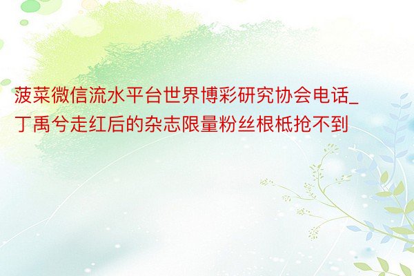 菠菜微信流水平台世界博彩研究协会电话_丁禹兮走红后的杂志限量粉丝根柢抢不到