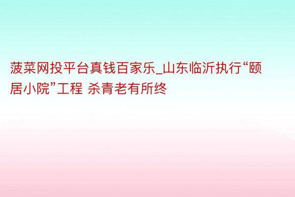 菠菜网投平台真钱百家乐_山东临沂执行“颐居小院”工程 杀青老有所终