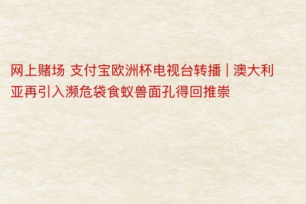 网上赌场 支付宝欧洲杯电视台转播 | 澳大利亚再引入濒危袋食蚁兽面孔得回推崇