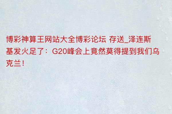 博彩神算王网站大全博彩论坛 存送_泽连斯基发火足了：G20峰会上竟然莫得提到我们乌克兰！