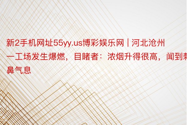 新2手机网址55yy.us博彩娱乐网 | 河北沧州一工场发生爆燃，目睹者：浓烟升得很高，闻到刺鼻气息