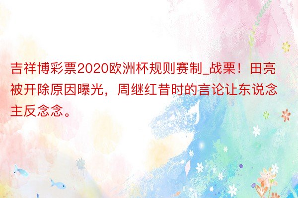 吉祥博彩票2020欧洲杯规则赛制_战栗！田亮被开除原因曝光，周继红昔时的言论让东说念主反念念。